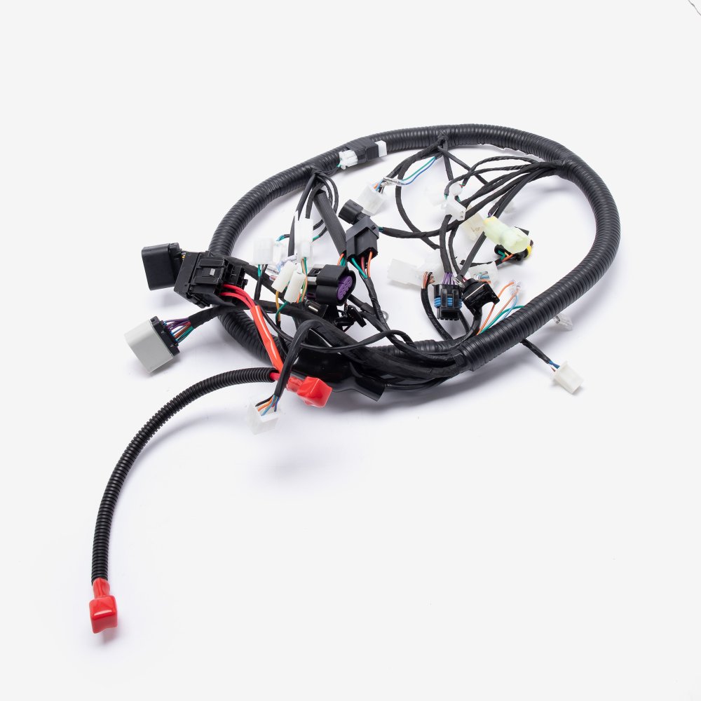 Wiring Loom