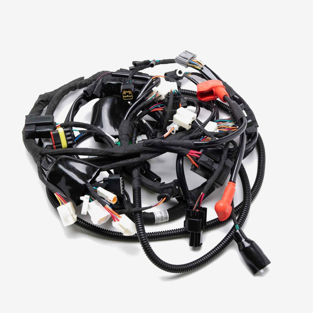 Wiring Loom 2