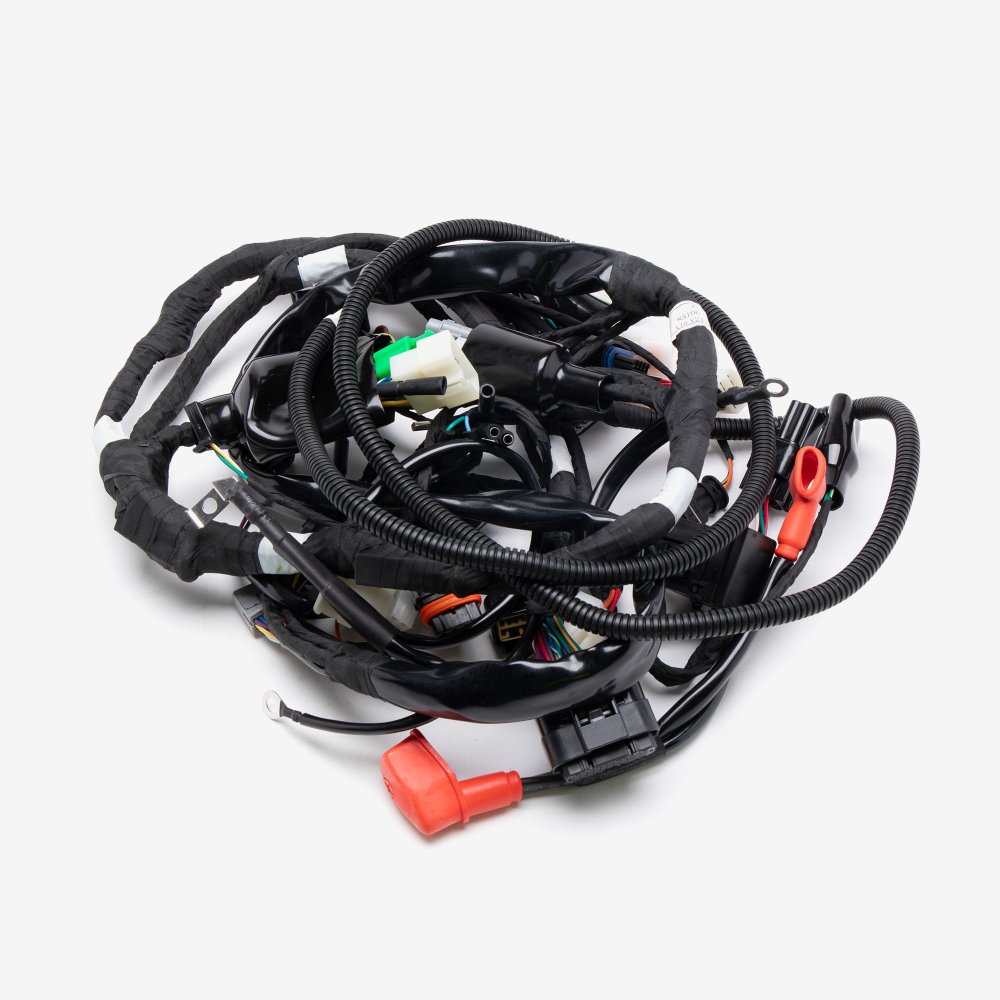 Wiring Loom