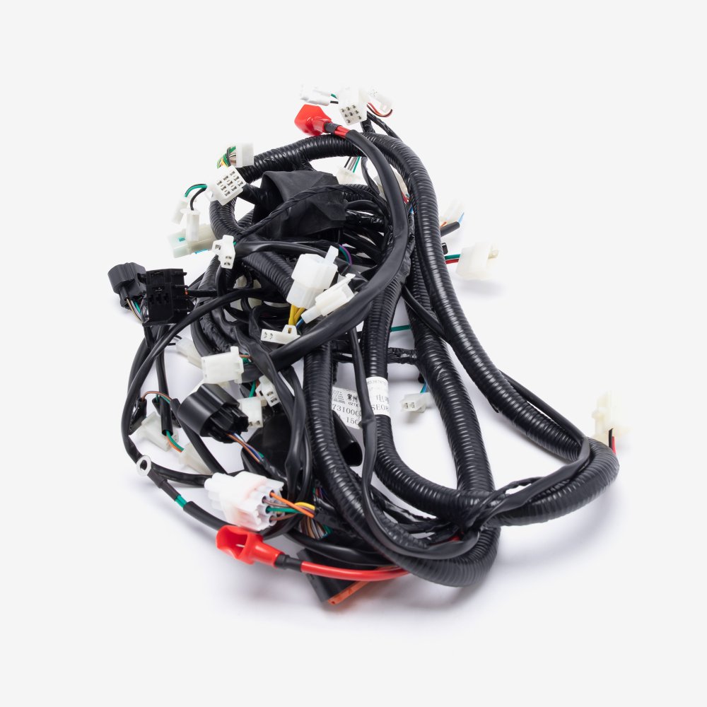 Single Plug ECU Wiring Loom 2