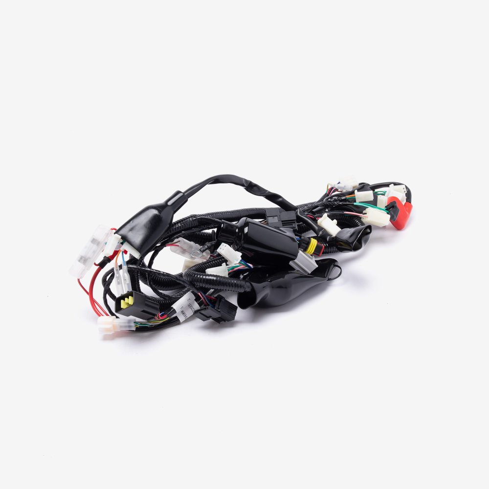 Wiring Loom 2