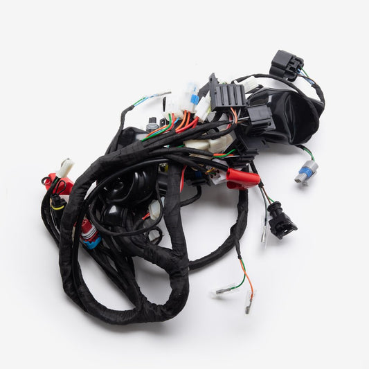 Double Plug ECU Wiring Loom