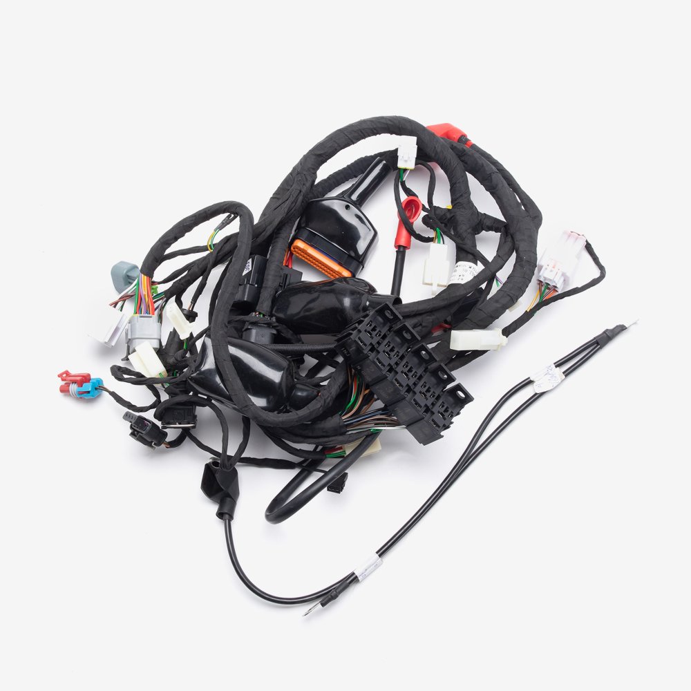 Wiring Loom 2