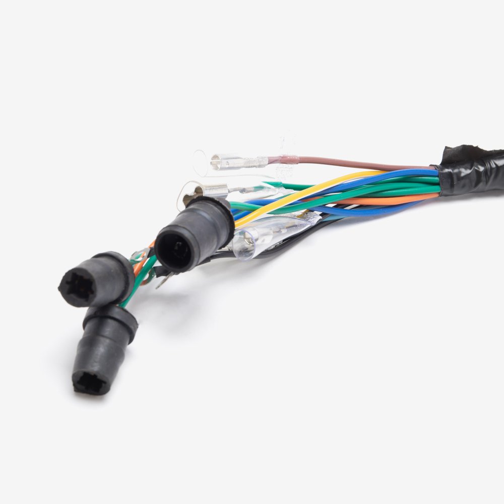 Speedo Wiring Loom 2