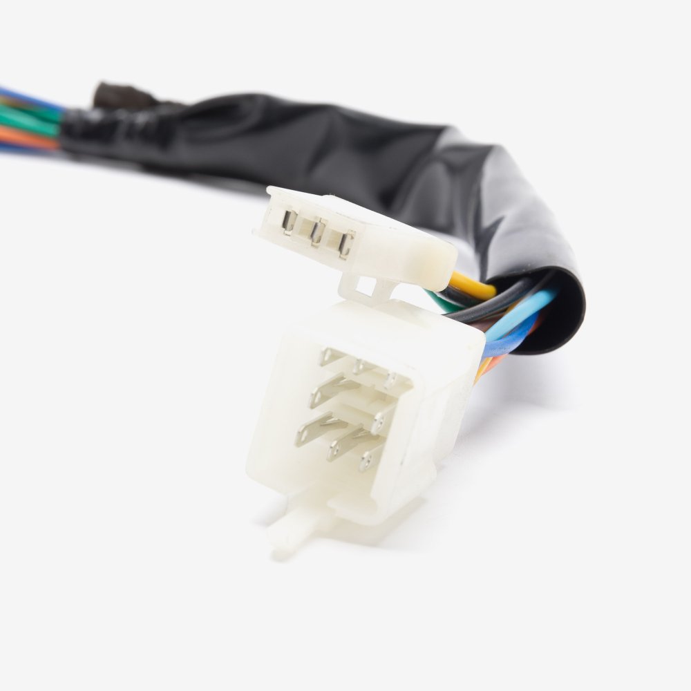 Speedo Wiring Loom 3