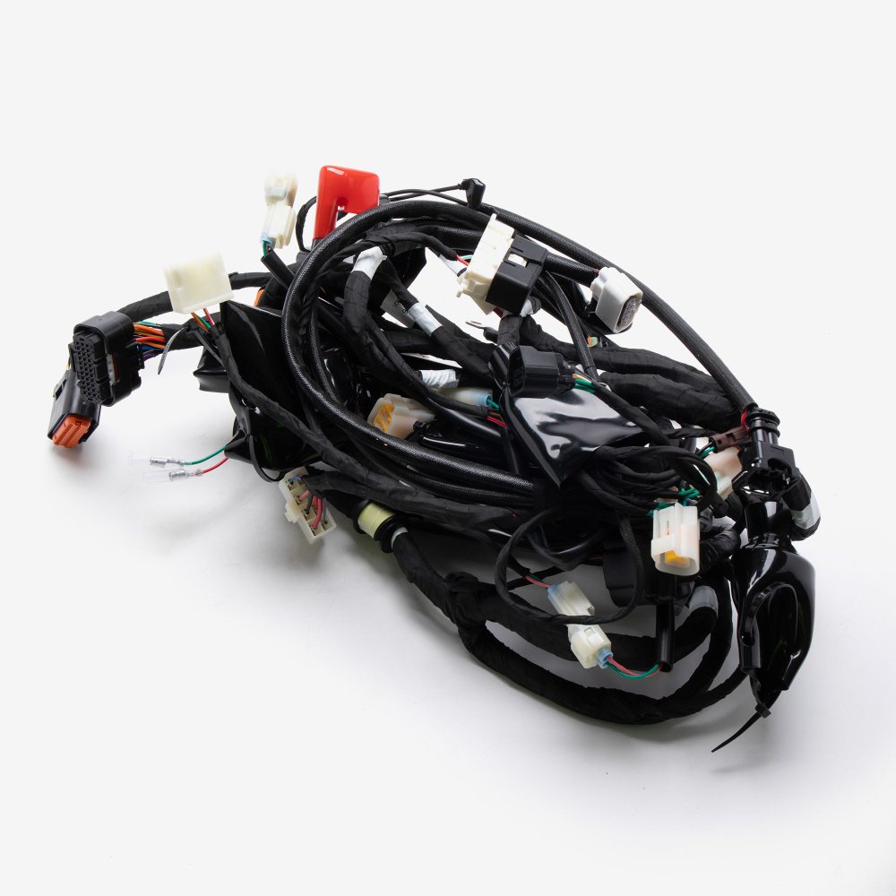 Wiring Loom 2