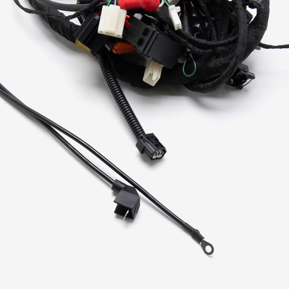 Wiring Loom 3