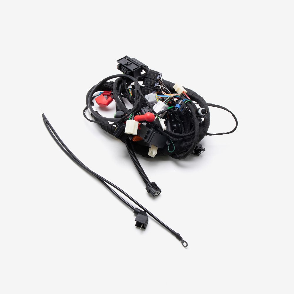 Wiring Loom