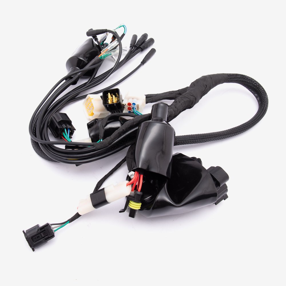 Wiring Loom 4