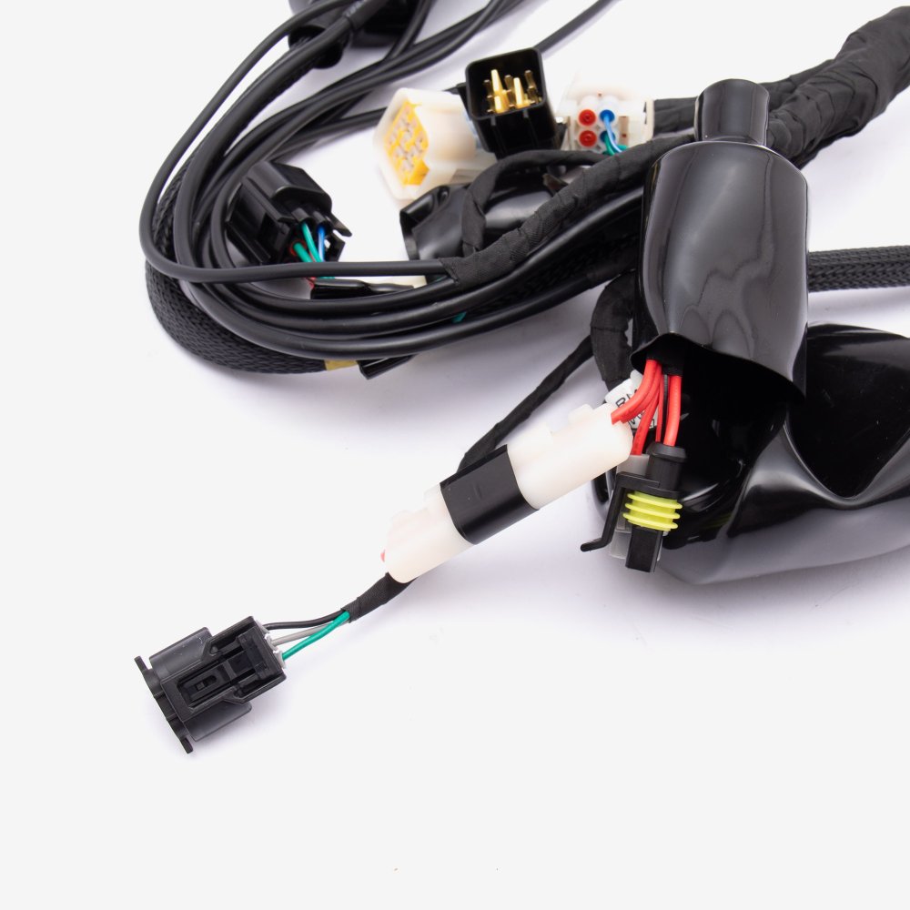Wiring Loom 5