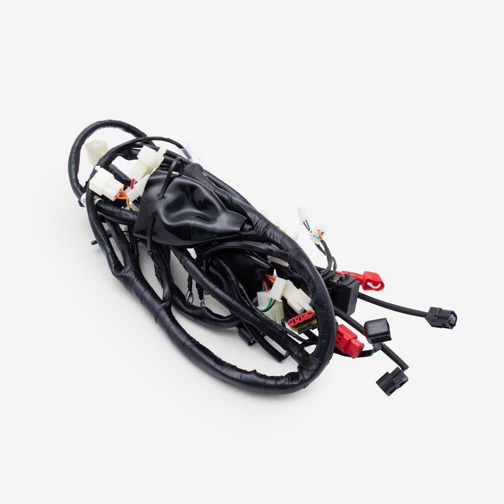 Wiring Loom 4