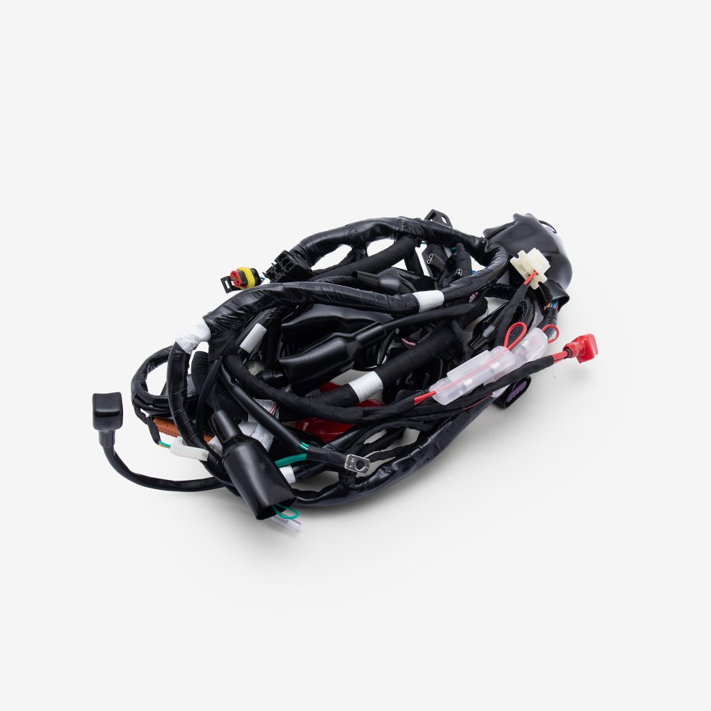 Wiring Loom 4