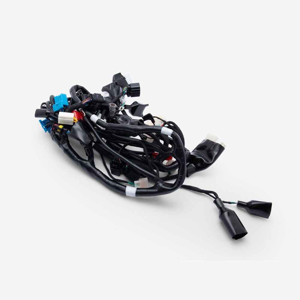 Wiring Loom 4