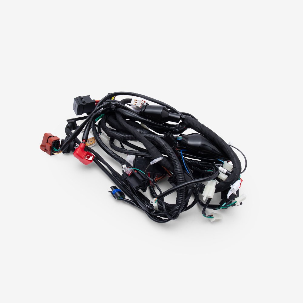 Wiring Loom 4
