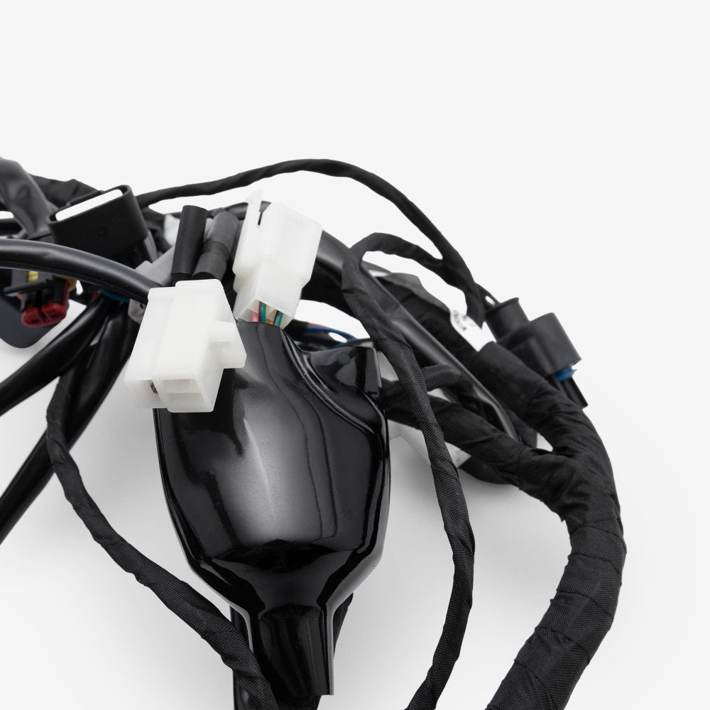 Wiring Loom 2
