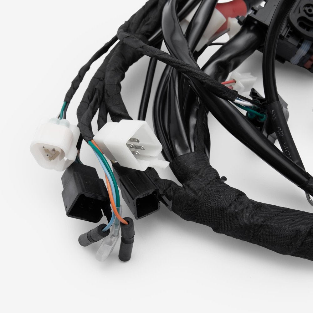Wiring Loom 3