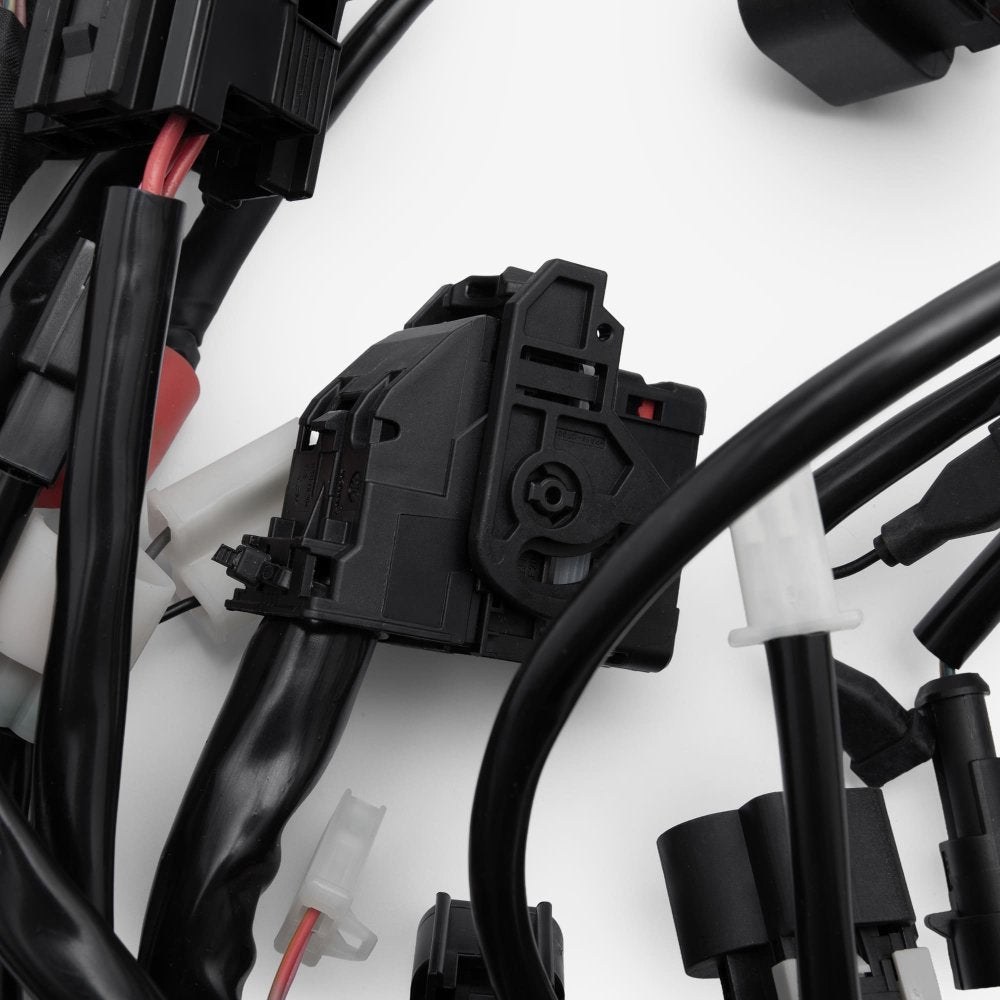 Wiring Loom 4