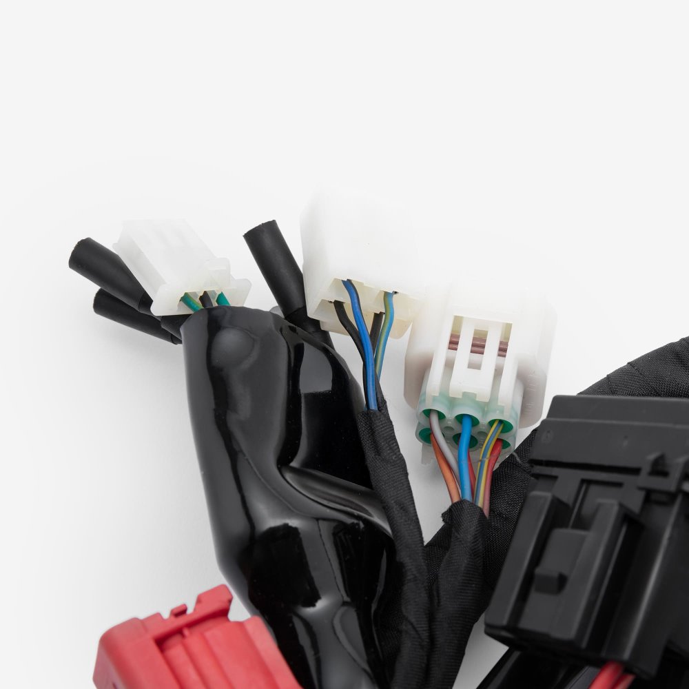 Wiring Loom 5