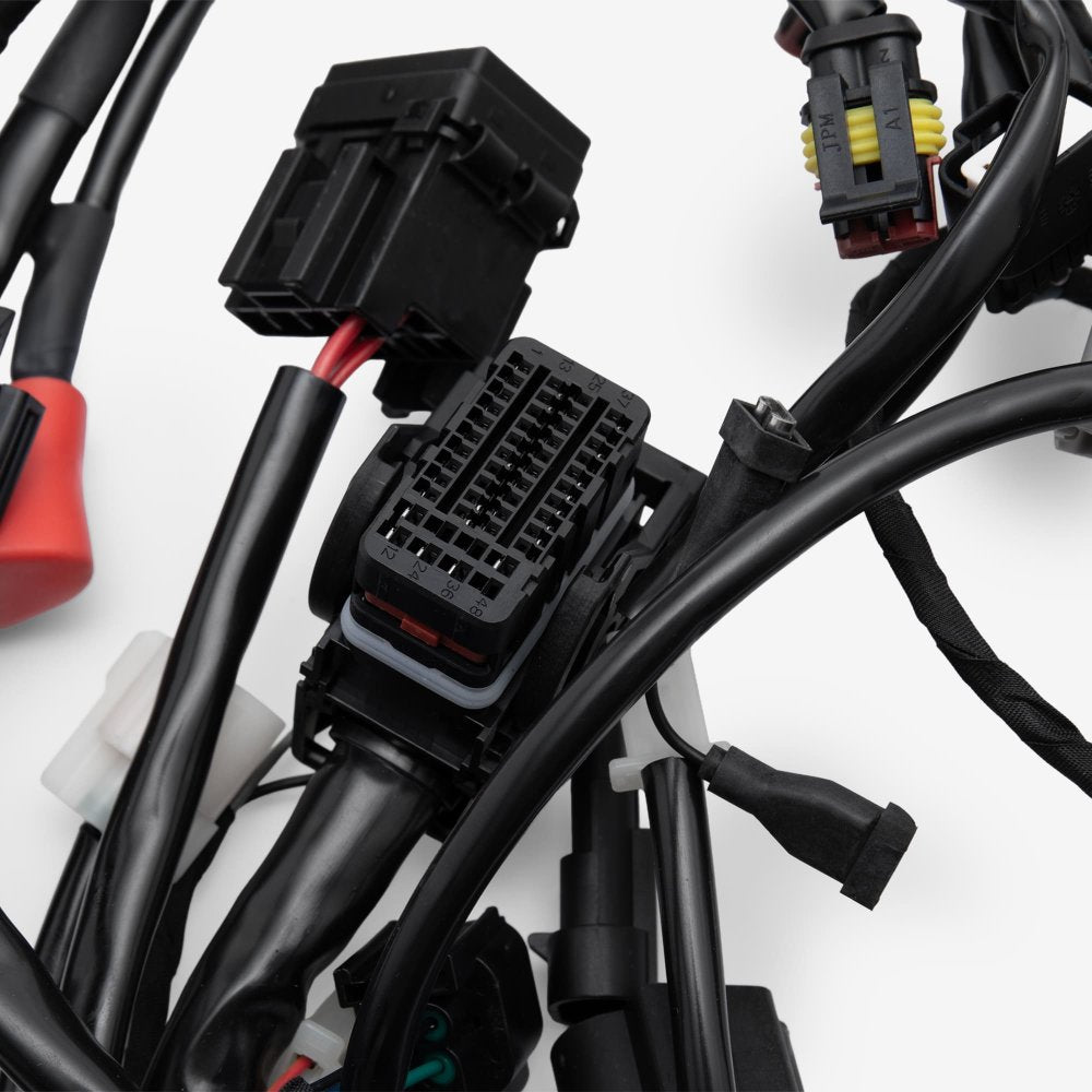 Wiring Loom 7