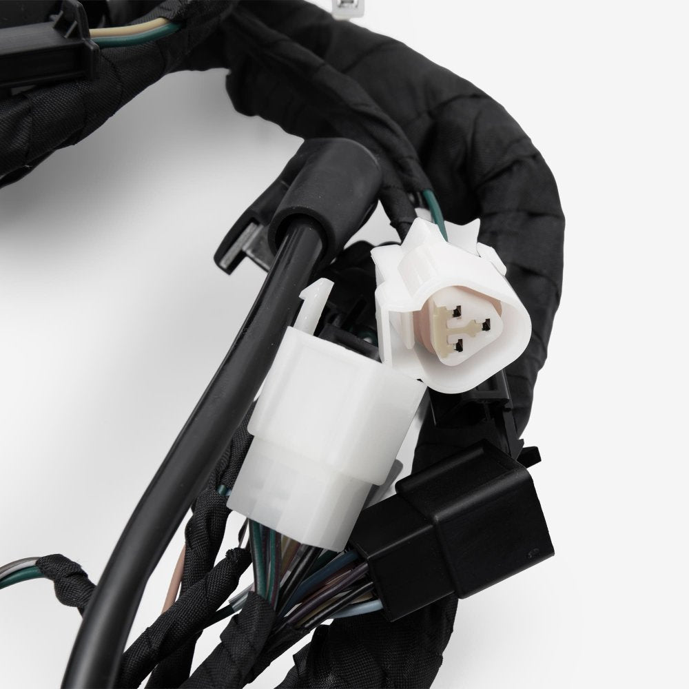 Wiring Loom 5
