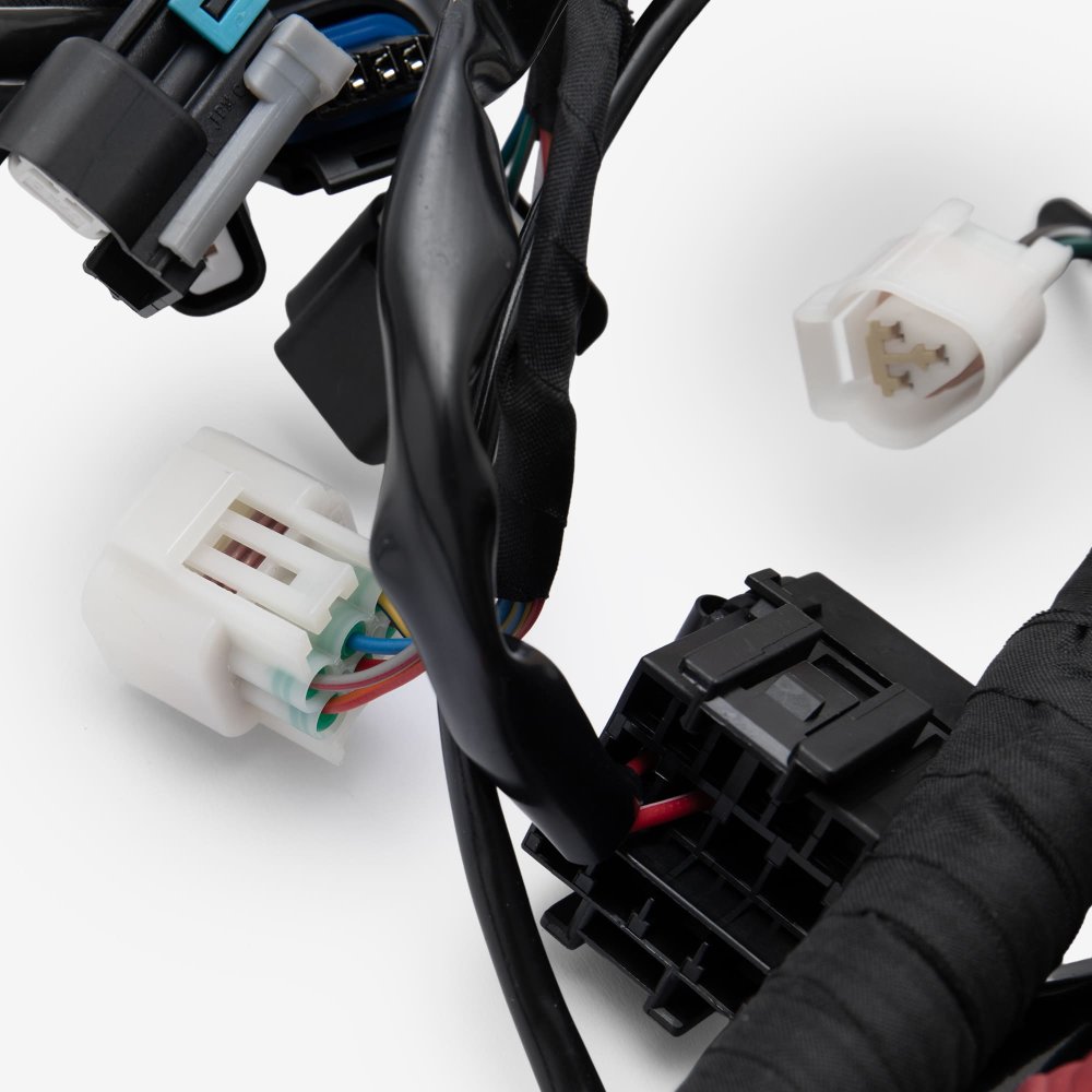 Wiring Loom 6
