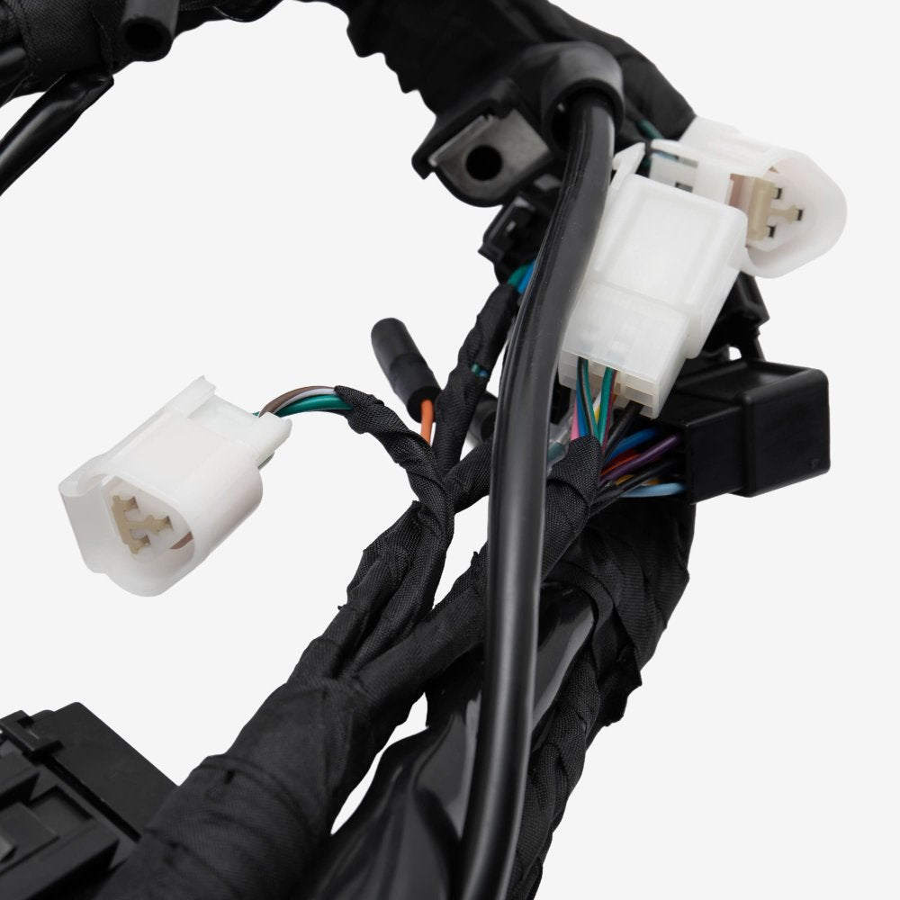 Wiring Loom 7