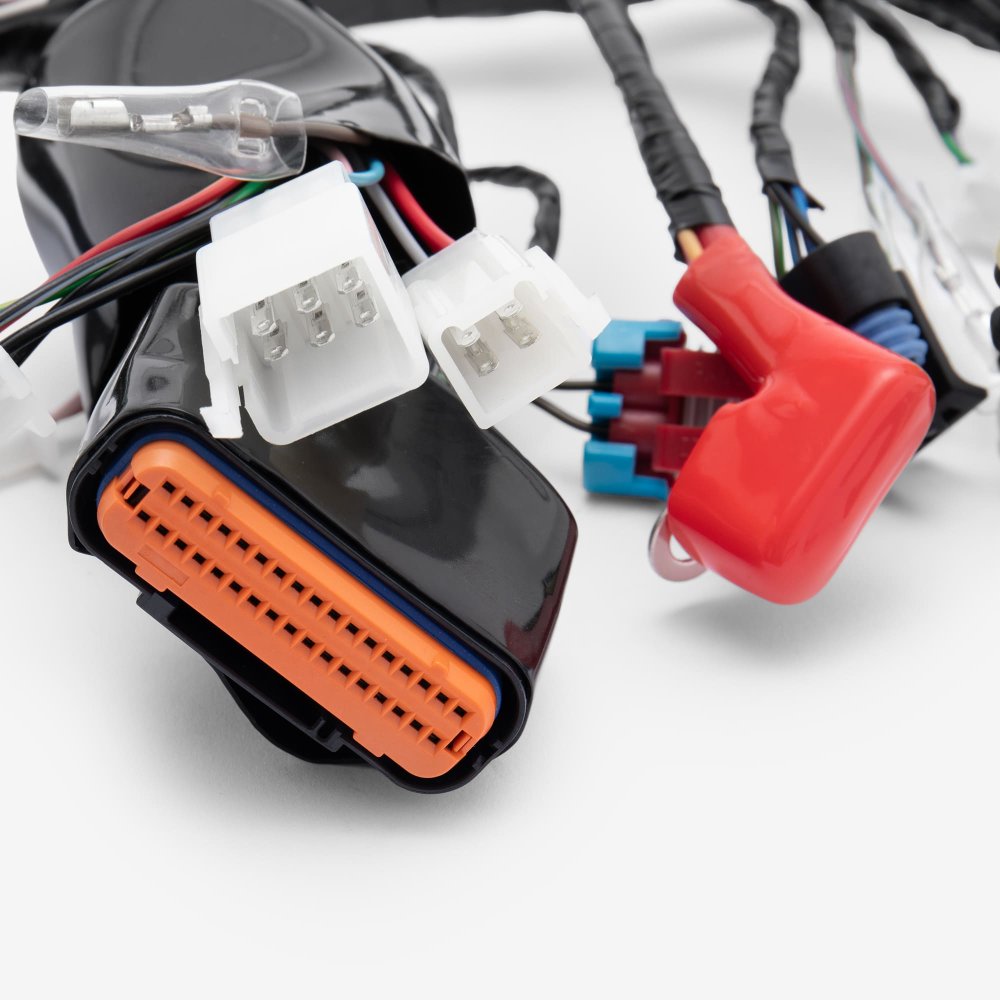 Wiring Loom 2