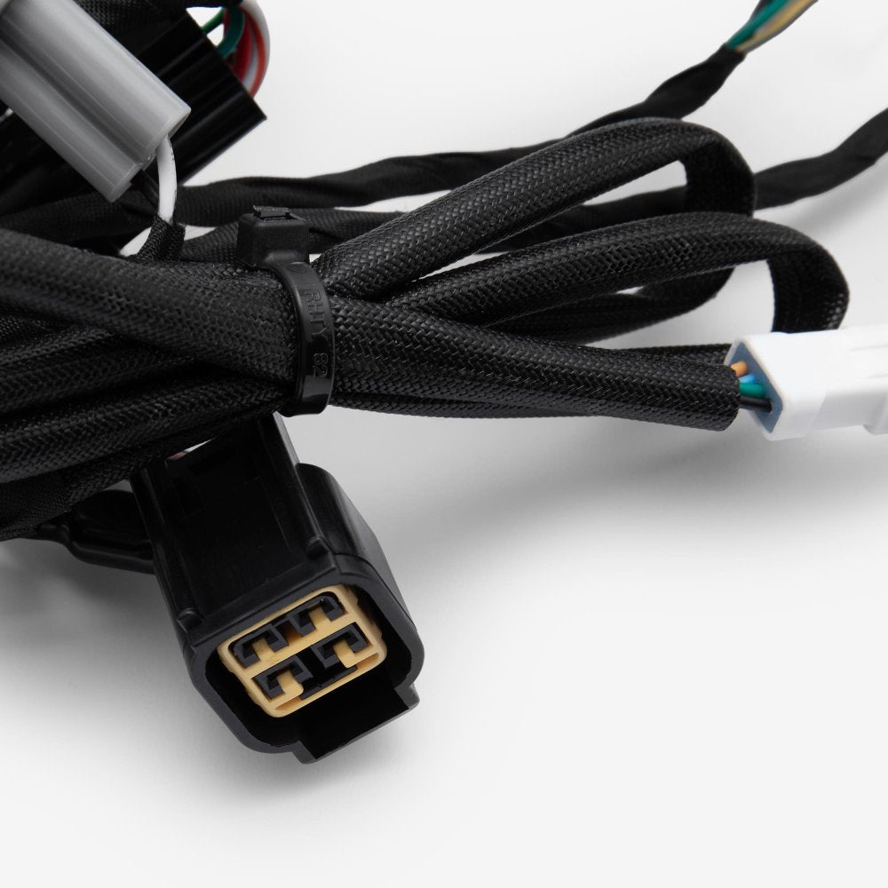 Wiring Loom 3