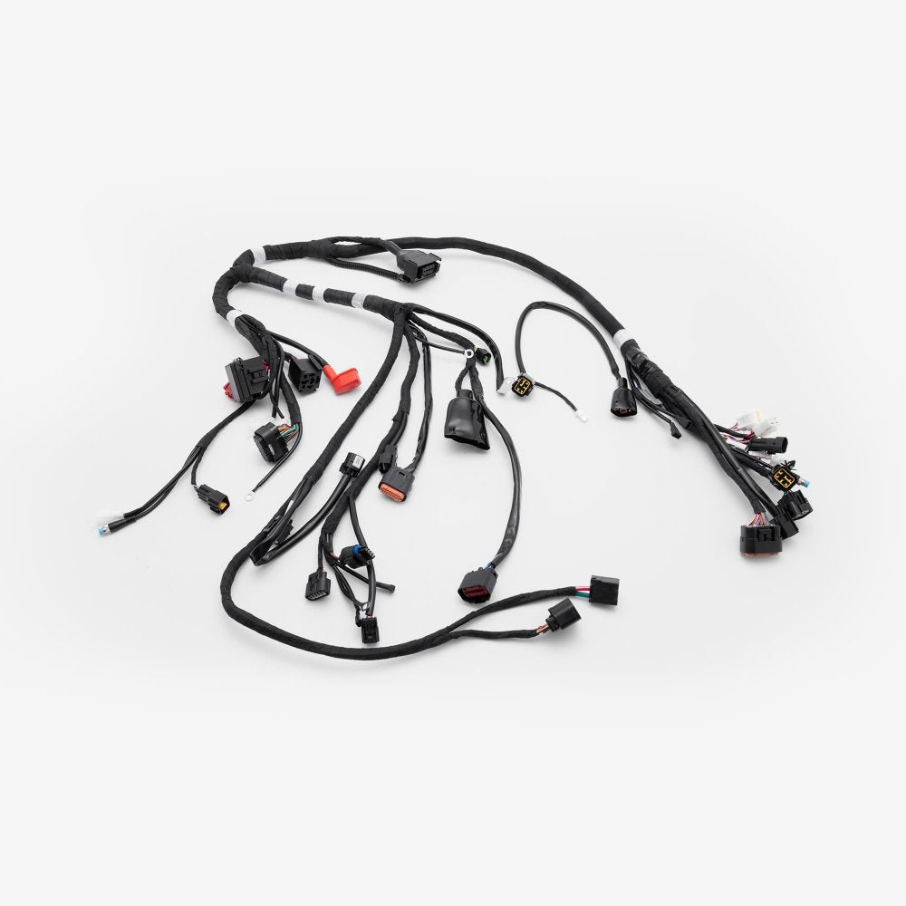 Wiring Loom
