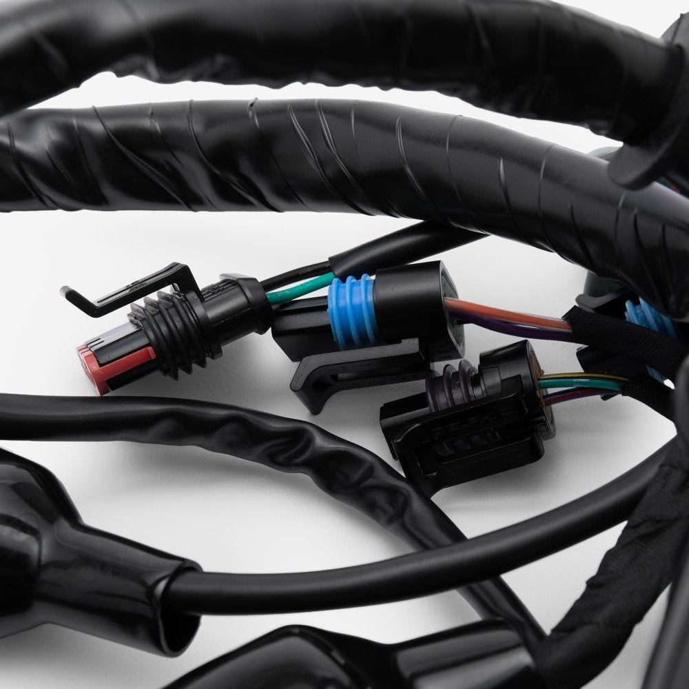 Wiring Loom 4