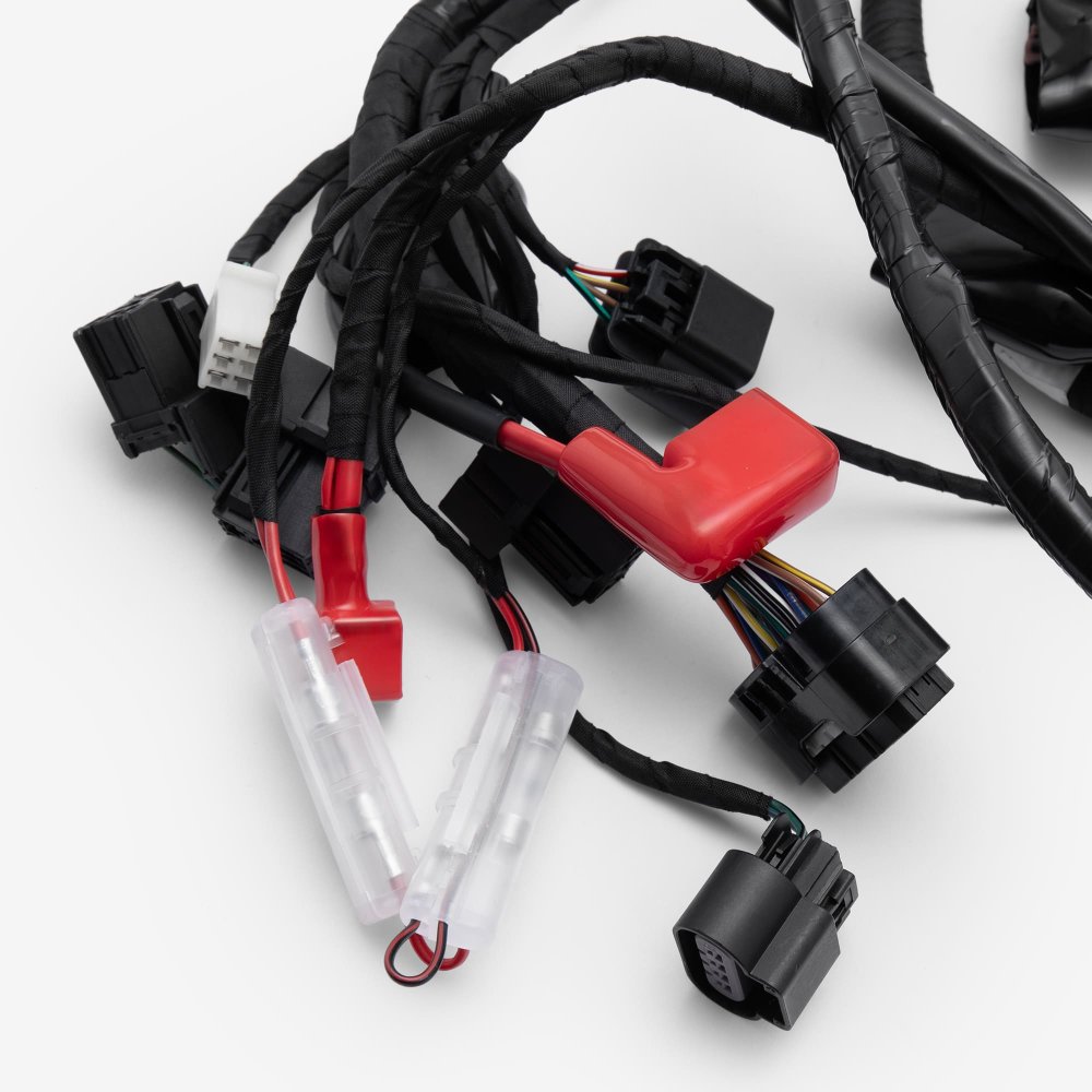 Wiring Loom 6