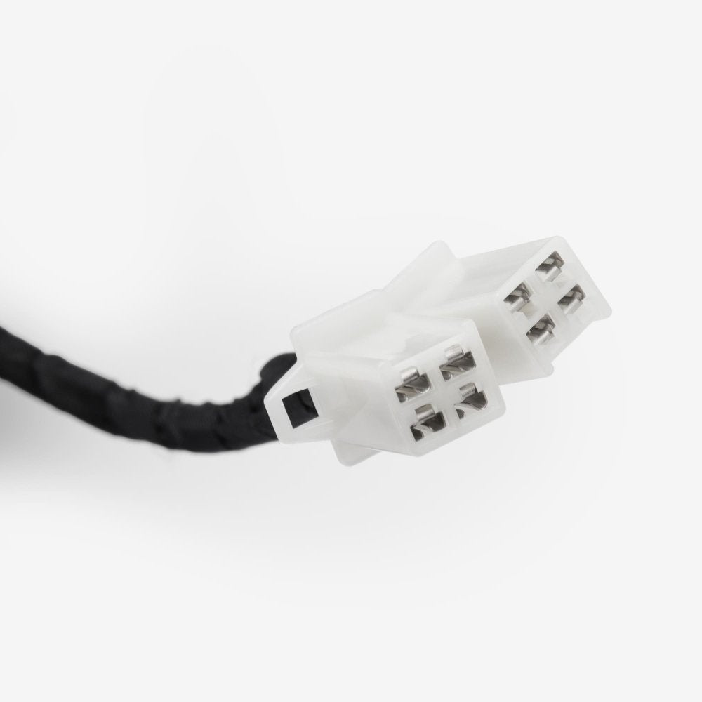 Wiring Loom 7