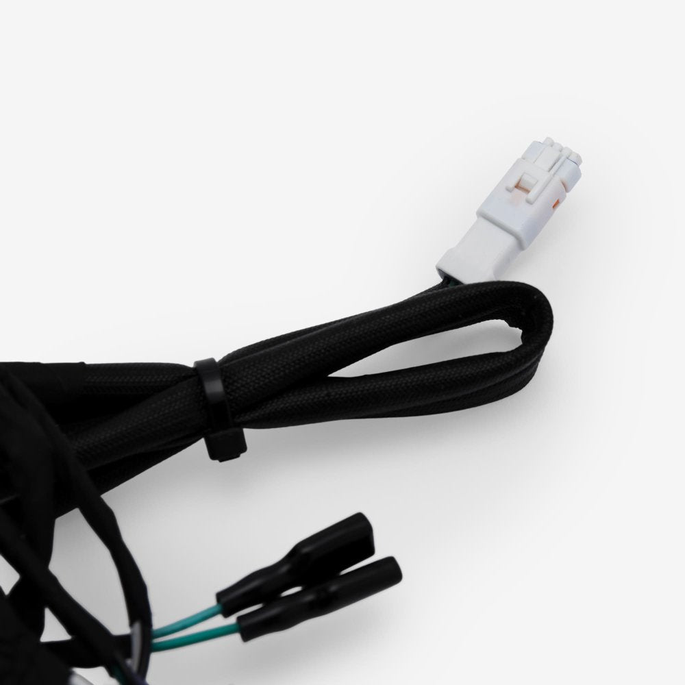 Wiring Loom 4
