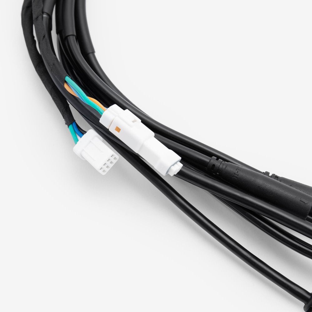 Wiring Loom 5