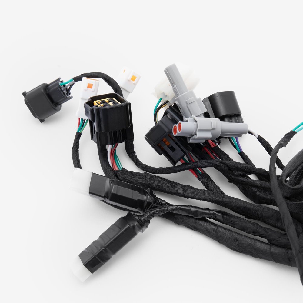 Wiring Loom 6