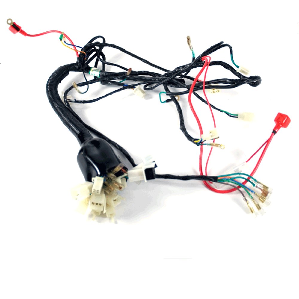 Wiring Loom