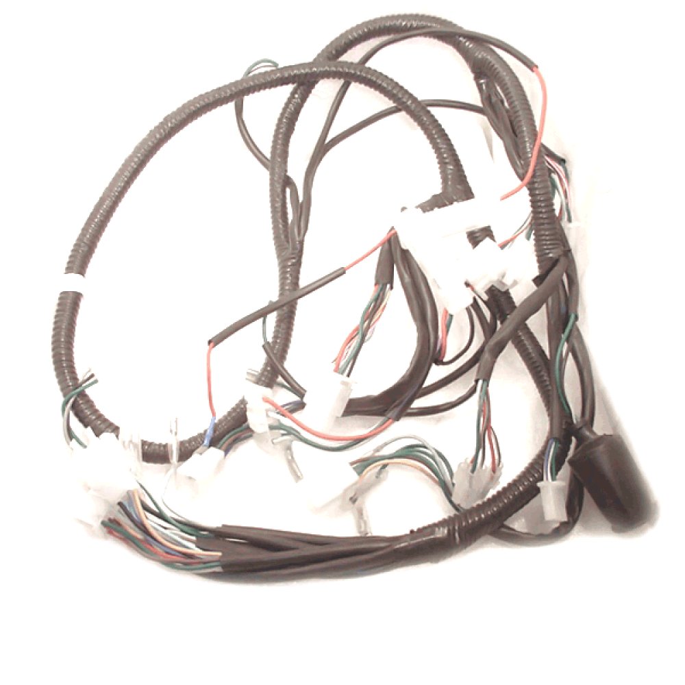 Wiring Loom