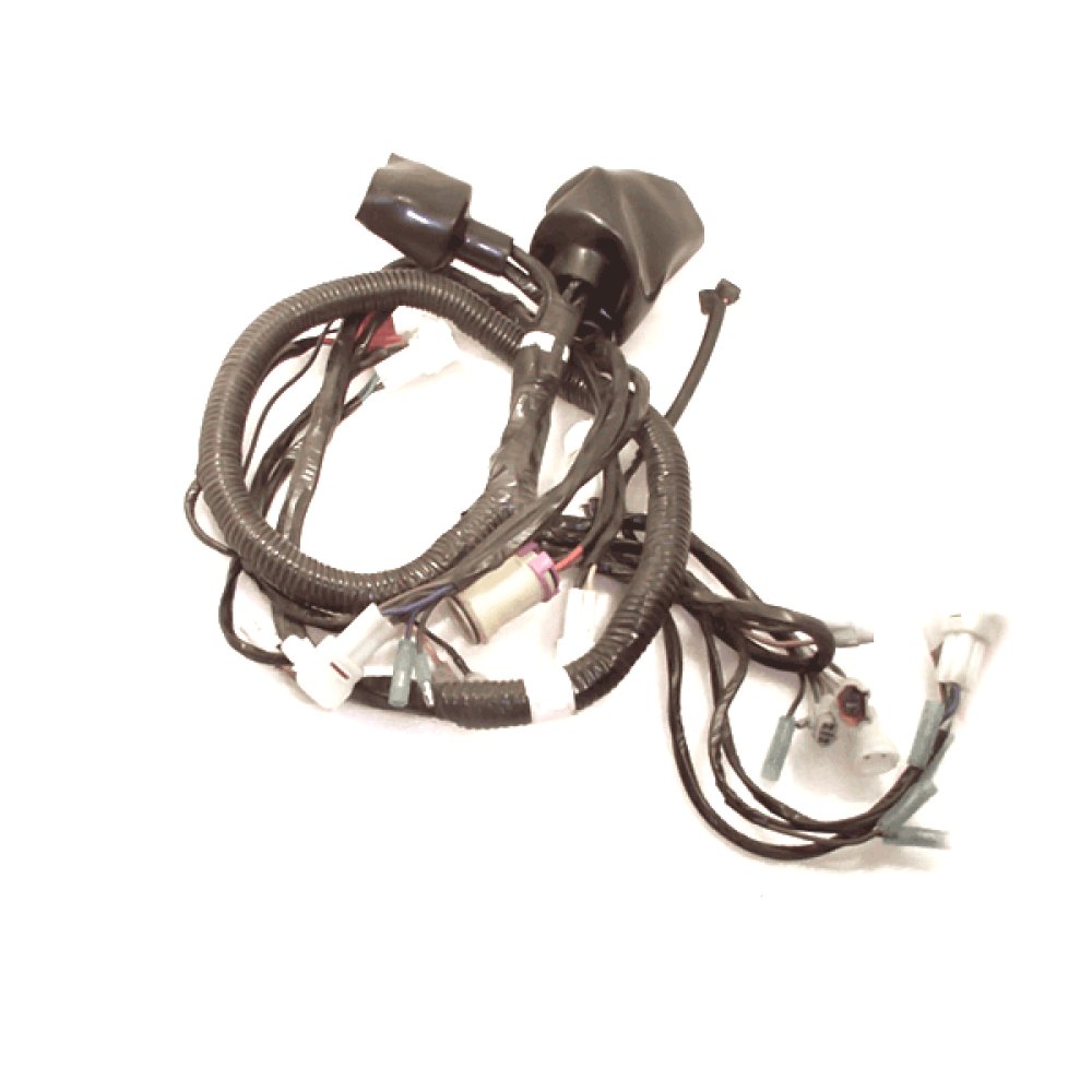 Wiring Loom