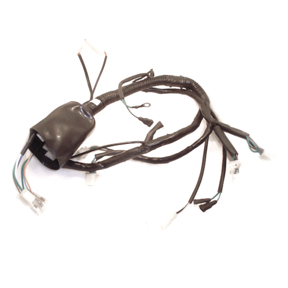 Wiring Loom