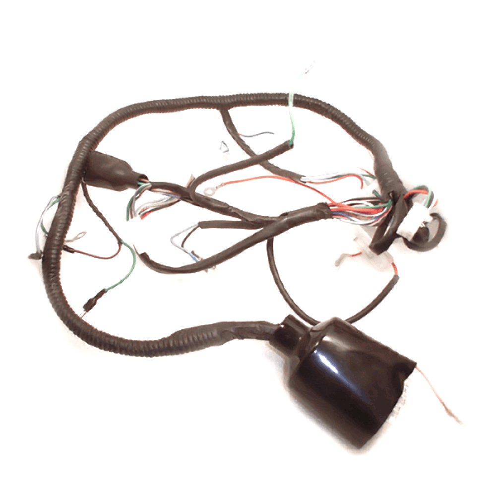 Wiring Loom
