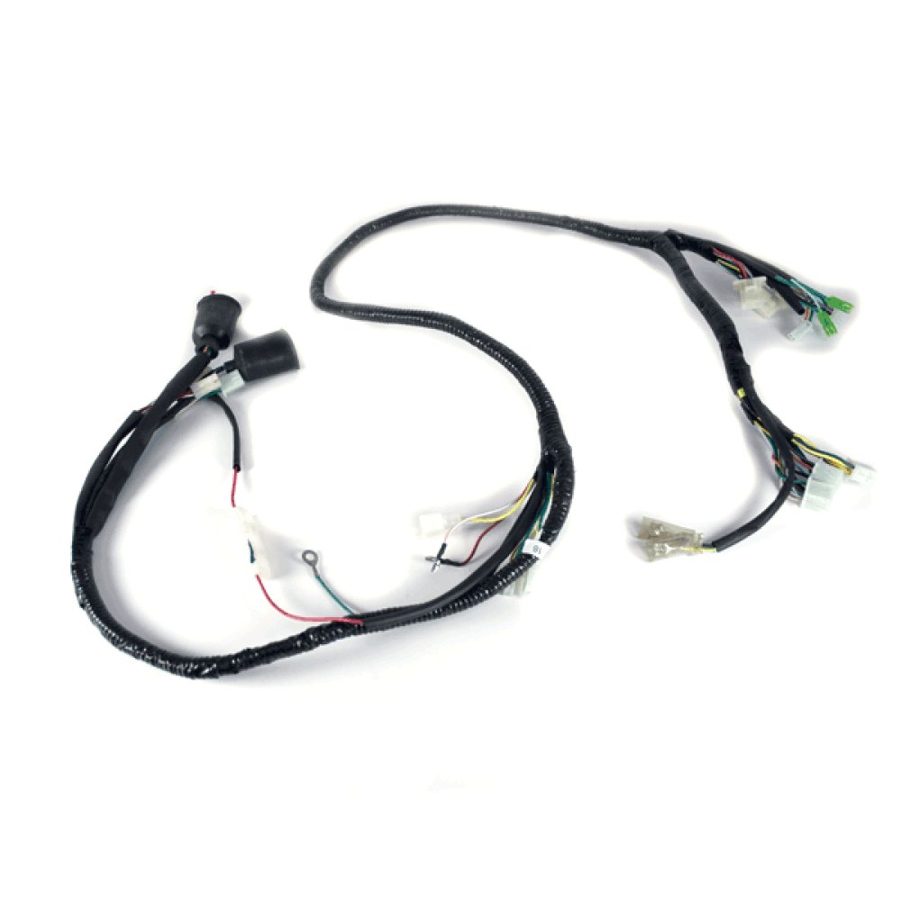 Wiring Loom