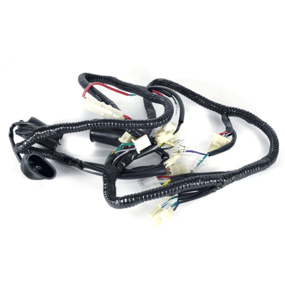 Wiring Loom