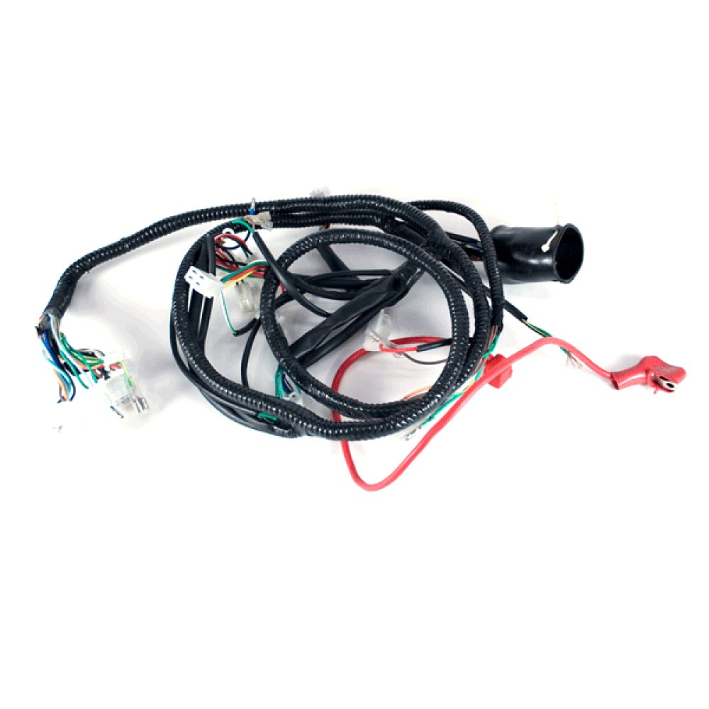 Wiring Loom