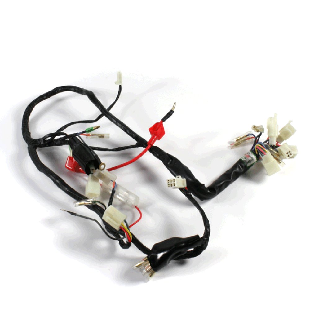 Wiring Loom