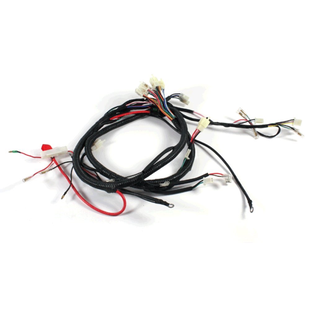 Wiring Loom