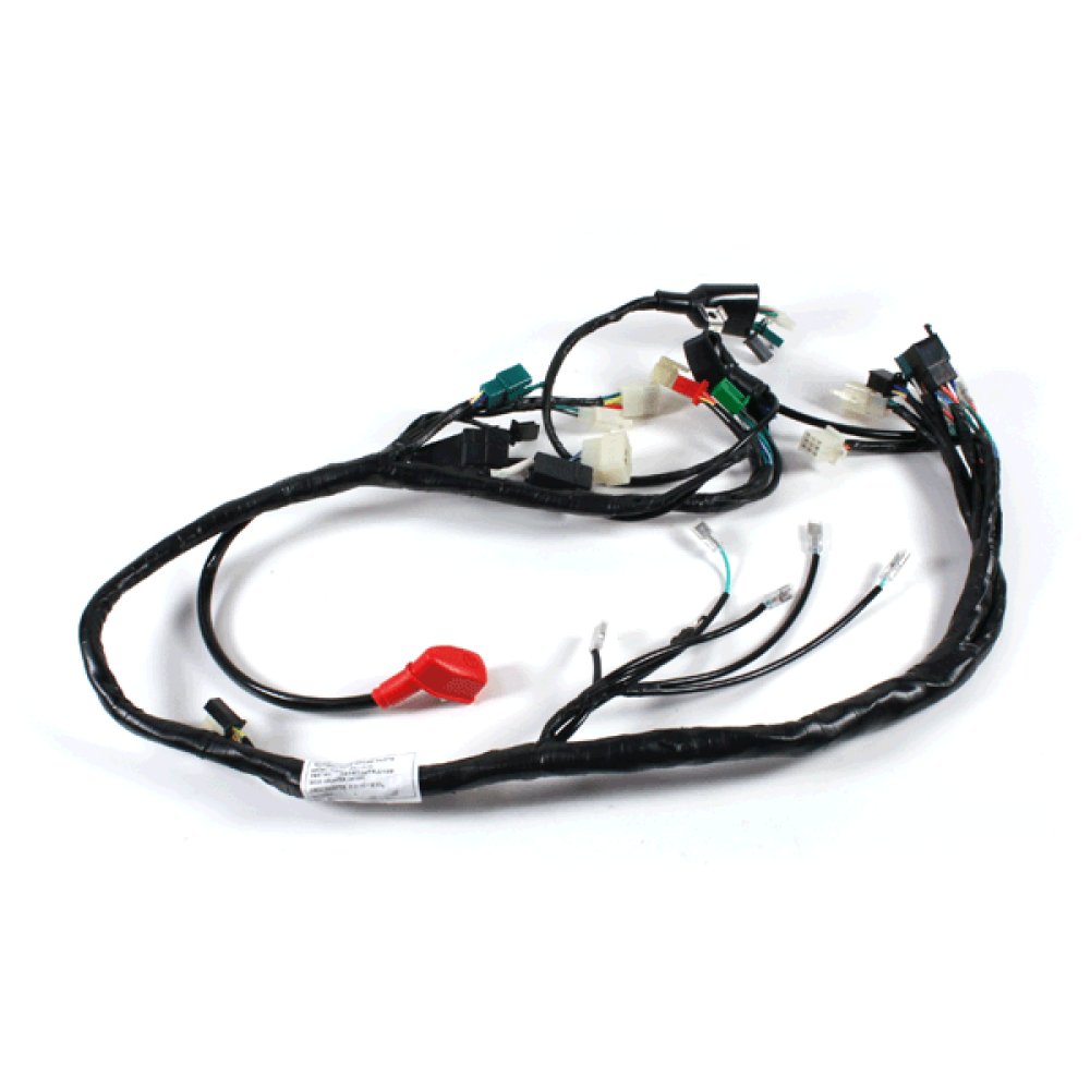 Wiring Loom
