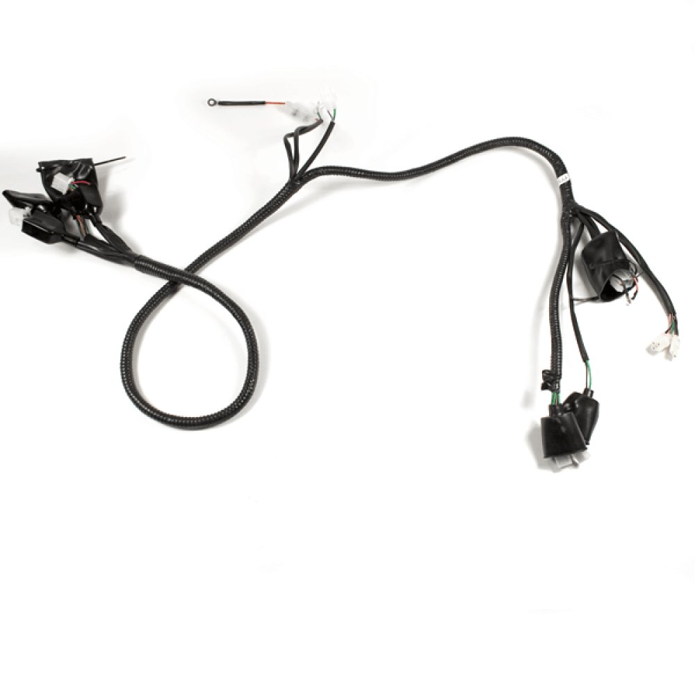 Wiring Loom 2