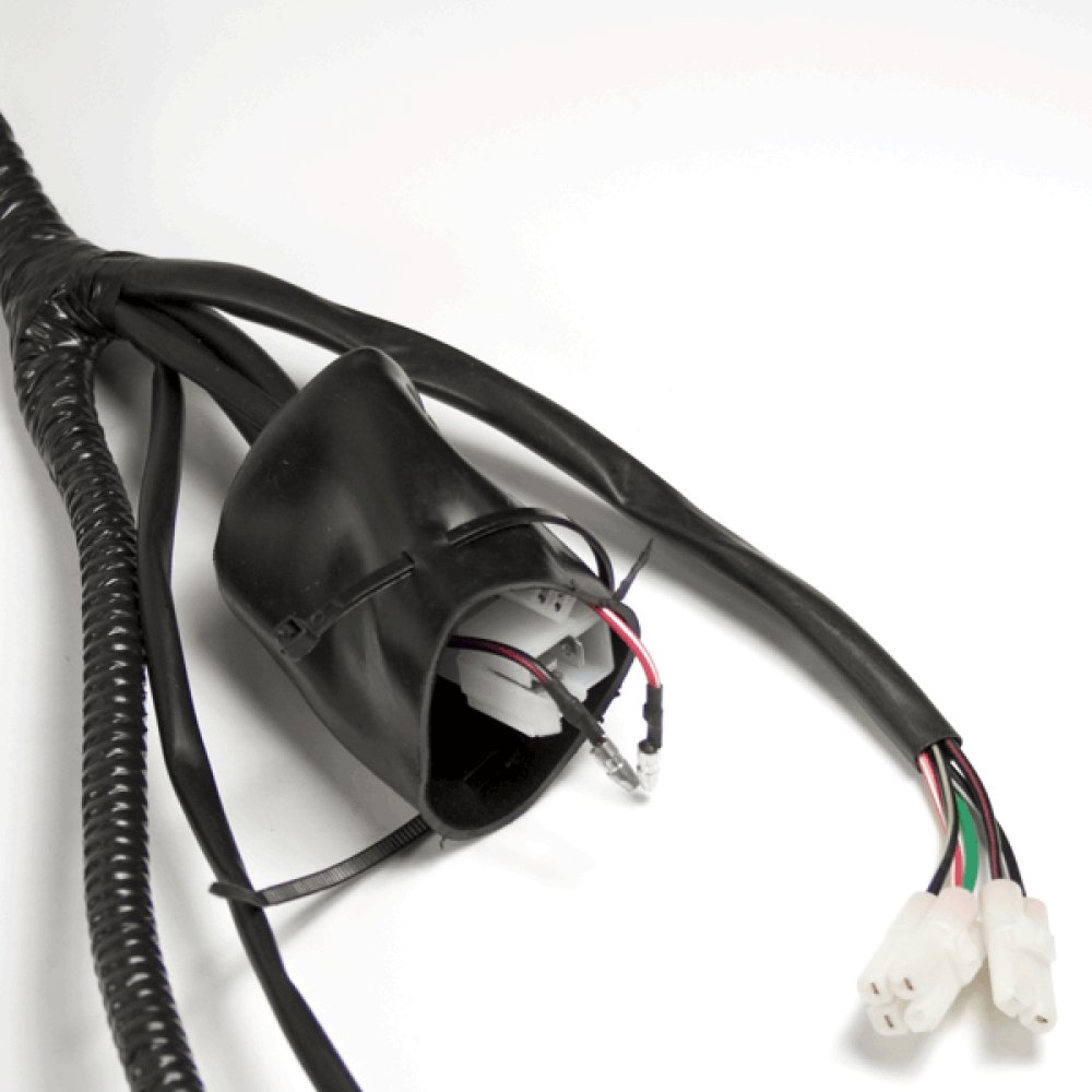 Wiring Loom 4