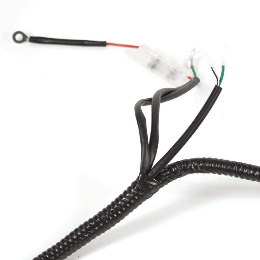 Wiring Loom 5