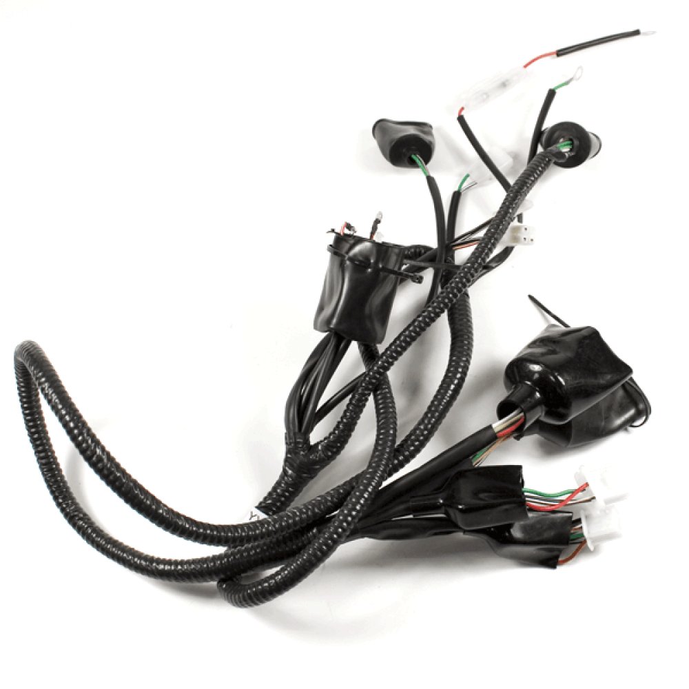 Wiring Loom